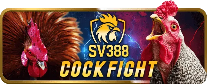 Cá cược thể thao tại x888 nhà cái